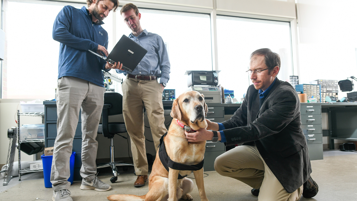 Guide Dog Training: Transforming Lives with Loyalty